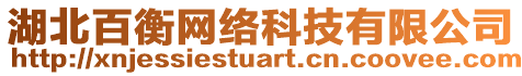 湖北百衡網絡科技有限公司