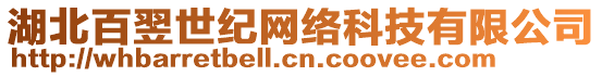 湖北百翌世紀(jì)網(wǎng)絡(luò)科技有限公司