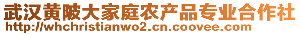 武汉黄陂大家庭农产品专业合作社