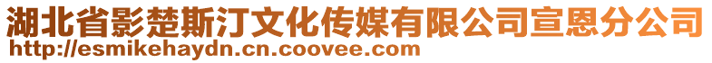 湖北省影楚斯汀文化傳媒有限公司宣恩分公司