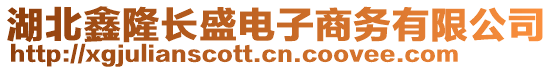 湖北鑫隆长盛电子商务有限公司