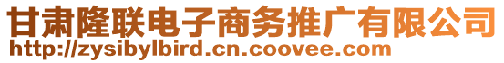 甘肃隆联电子商务推广有限公司