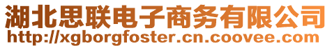 湖北思聯(lián)電子商務(wù)有限公司