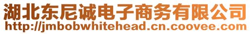 湖北東尼誠電子商務(wù)有限公司