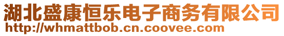 湖北盛康恒樂電子商務(wù)有限公司