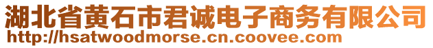 湖北省黃石市君誠電子商務(wù)有限公司