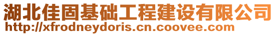 湖北佳固基礎(chǔ)工程建設(shè)有限公司