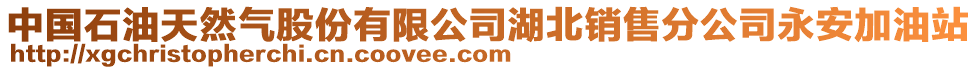 中國石油天然氣股份有限公司湖北銷售分公司永安加油站