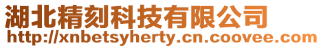 湖北精刻科技有限公司