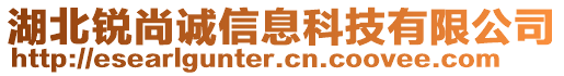 湖北銳尚誠信息科技有限公司