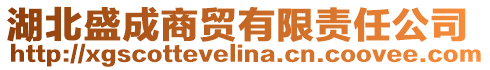 湖北盛成商貿(mào)有限責任公司