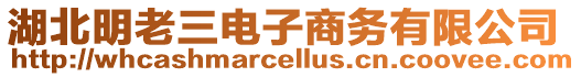 湖北明老三電子商務(wù)有限公司