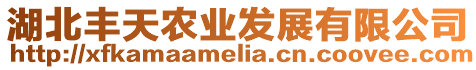 湖北豐天農(nóng)業(yè)發(fā)展有限公司