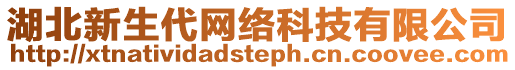 湖北新生代網絡科技有限公司