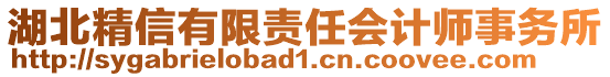 湖北精信有限責任會計師事務所