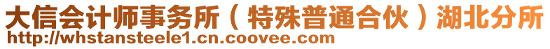 大信會(huì)計(jì)師事務(wù)所（特殊普通合伙）湖北分所