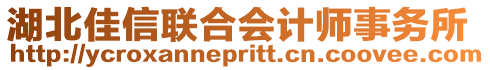 湖北佳信聯合會計師事務所