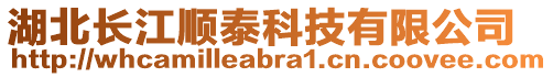 湖北長江順泰科技有限公司