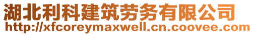 湖北利科建筑勞務(wù)有限公司