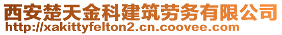 西安楚天金科建筑勞務(wù)有限公司