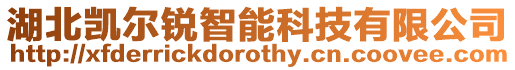 湖北凱爾銳智能科技有限公司