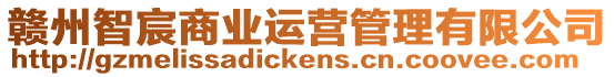 贛州智宸商業(yè)運營管理有限公司