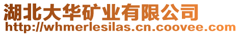 湖北大華礦業(yè)有限公司