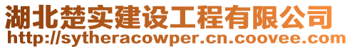 湖北楚實建設(shè)工程有限公司