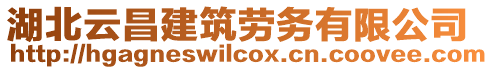 湖北云昌建筑勞務有限公司