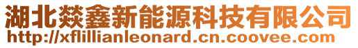 湖北燚鑫新能源科技有限公司