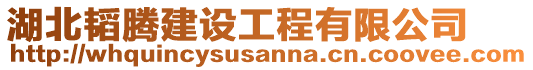 湖北韜騰建設(shè)工程有限公司