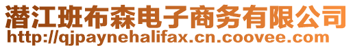 潛江班布森電子商務(wù)有限公司
