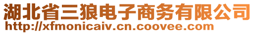 湖北省三狼電子商務(wù)有限公司