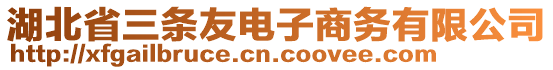 湖北省三條友電子商務有限公司