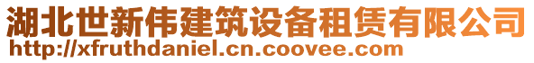 湖北世新偉建筑設(shè)備租賃有限公司