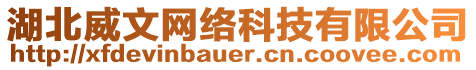 湖北威文網(wǎng)絡(luò)科技有限公司