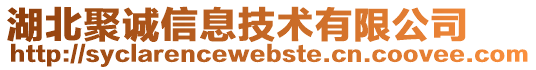 湖北聚誠(chéng)信息技術(shù)有限公司