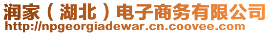 潤(rùn)家（湖北）電子商務(wù)有限公司