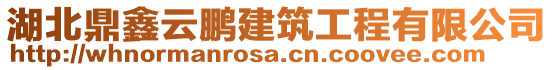 湖北鼎鑫云鵬建筑工程有限公司