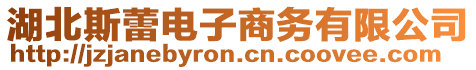 湖北斯蕾電子商務有限公司