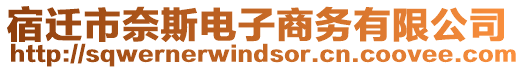 宿遷市奈斯電子商務有限公司