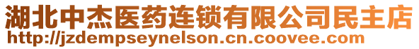 湖北中杰醫(yī)藥連鎖有限公司民主店