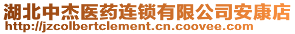 湖北中杰醫(yī)藥連鎖有限公司安康店