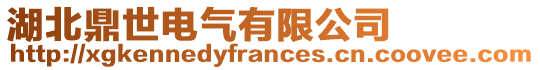 湖北鼎世電氣有限公司