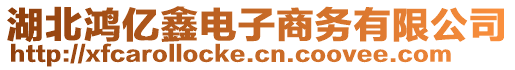 湖北鴻億鑫電子商務(wù)有限公司