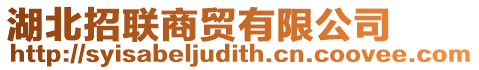 湖北招聯(lián)商貿(mào)有限公司