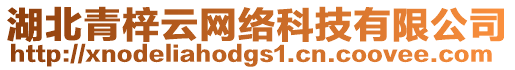 湖北青梓云網(wǎng)絡(luò)科技有限公司