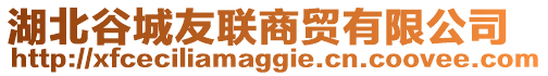 湖北谷城友聯(lián)商貿(mào)有限公司