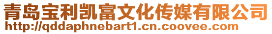 青島寶利凱富文化傳媒有限公司