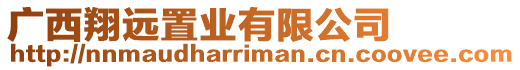 廣西翔遠(yuǎn)置業(yè)有限公司